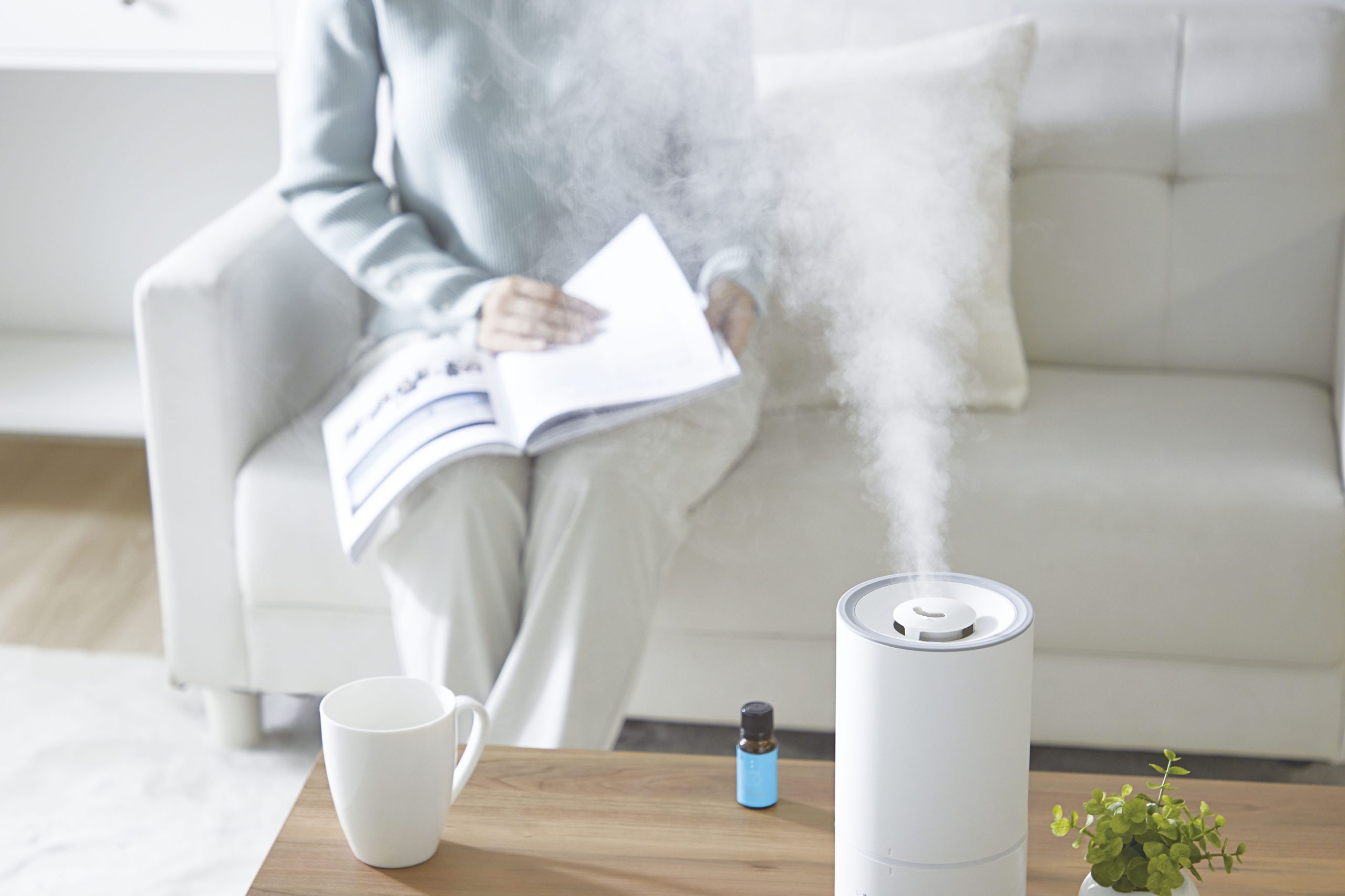 パワーバイオ加湿器のカビきれい 