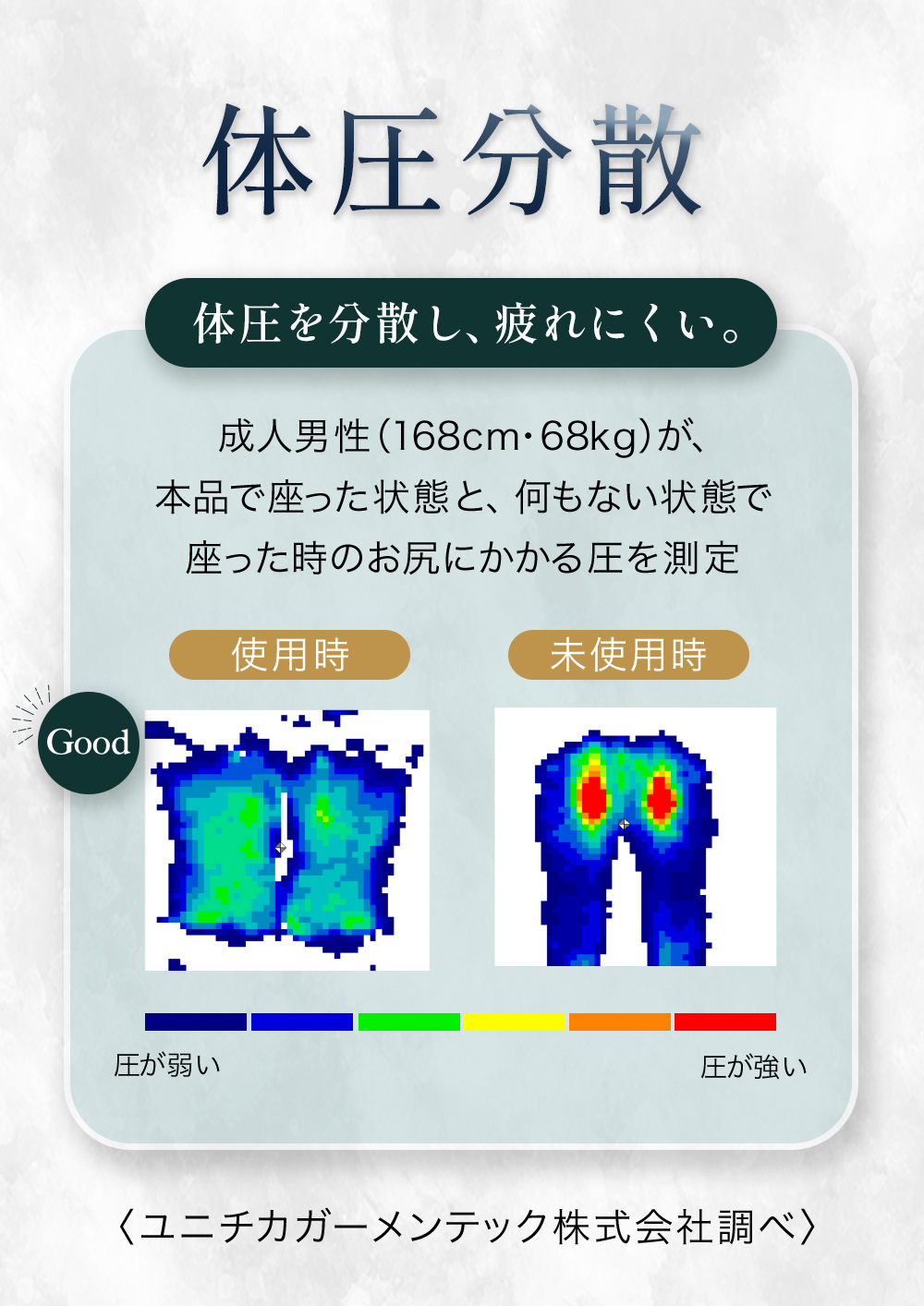 背骨 のびのび腰痛対策クッション [コジット]