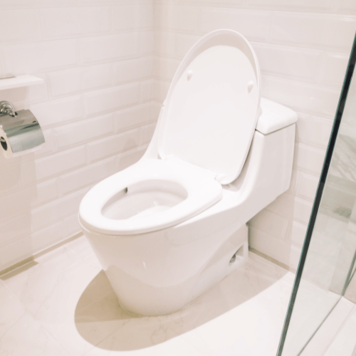 トイレの掃除