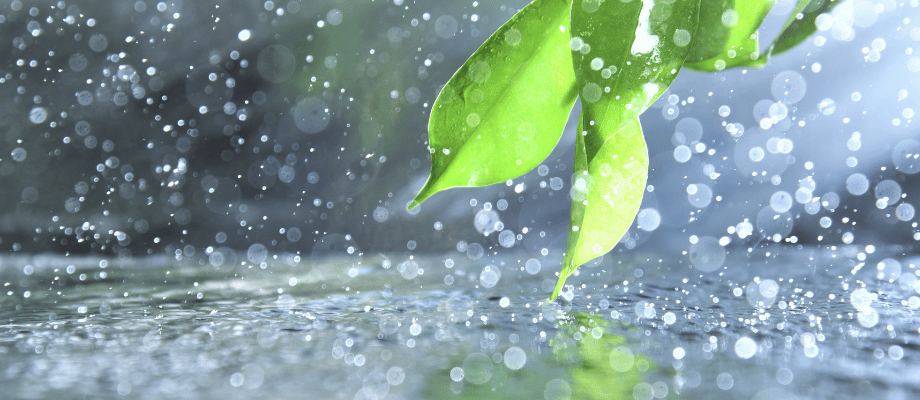 大雨