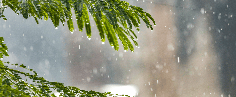 大雨