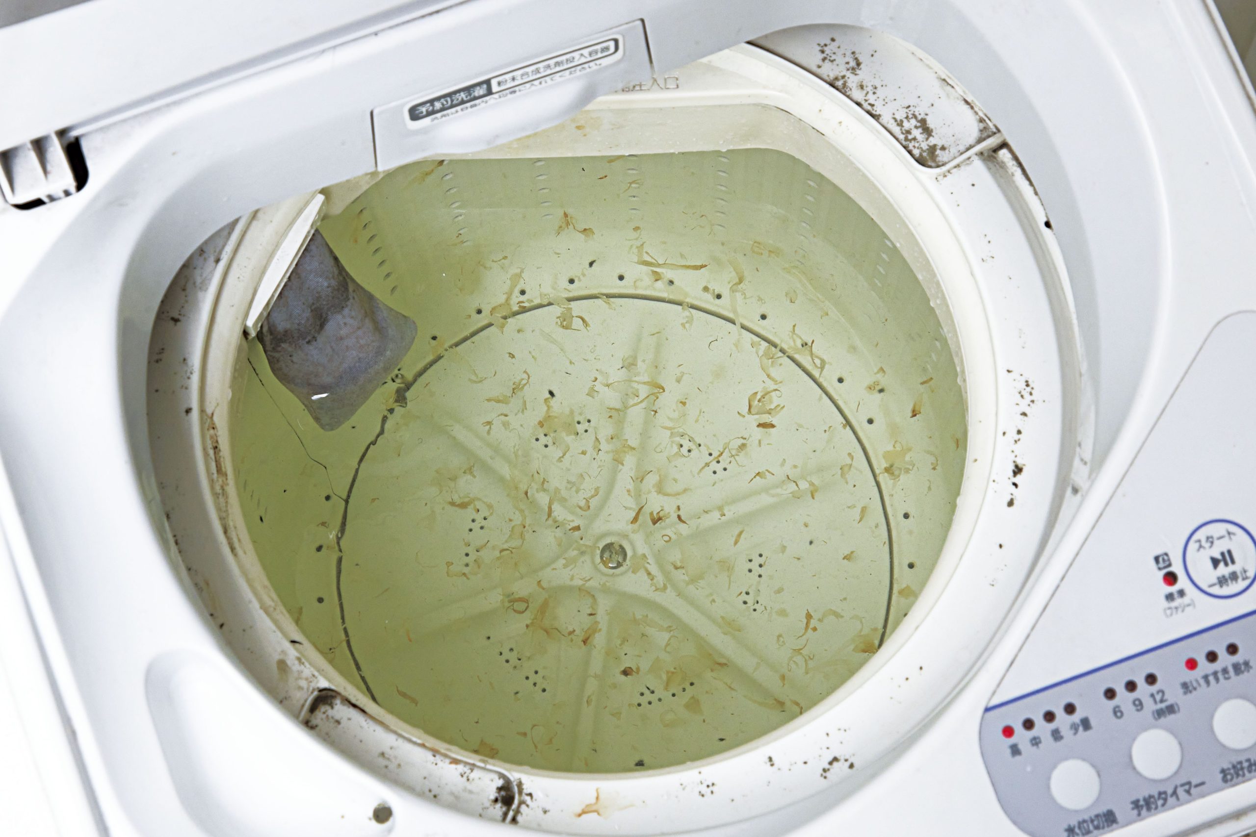 パワーバイオ 洗濯槽のカビきれい