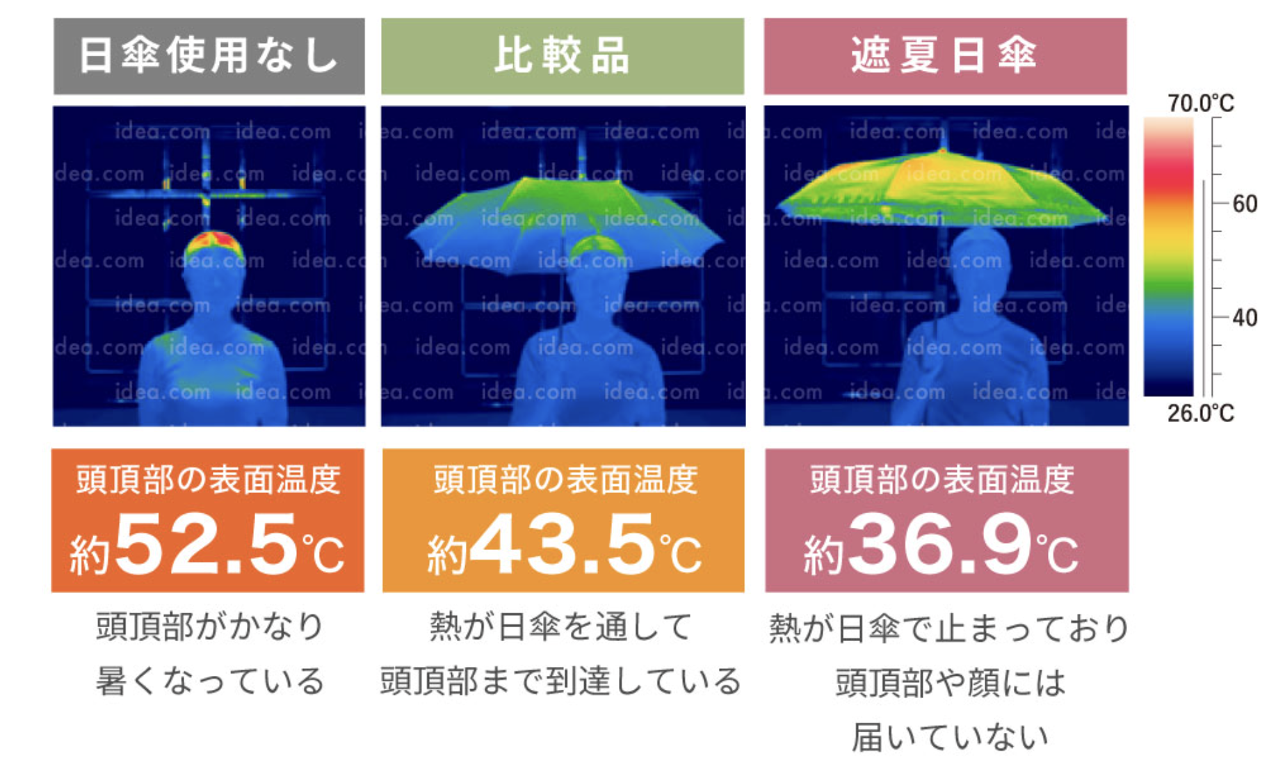 遮夏生地の放射冷却 温度比較