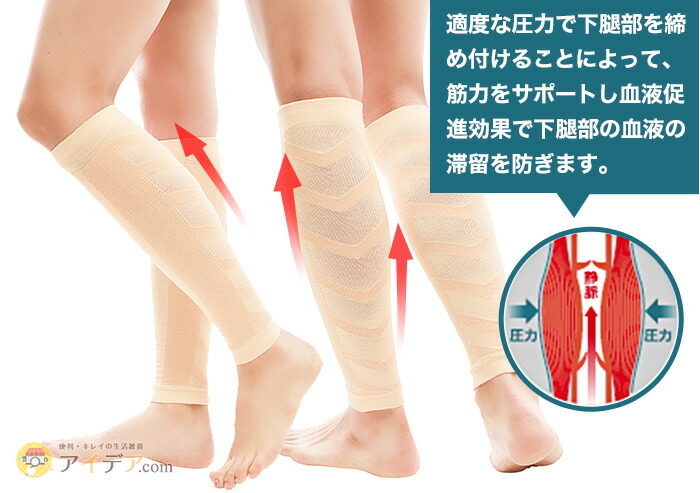 適度な圧力で下腿部を締め付けることによって、筋力をサポートし血液促進効果で下腿部の血液の滞留を防ぎます。