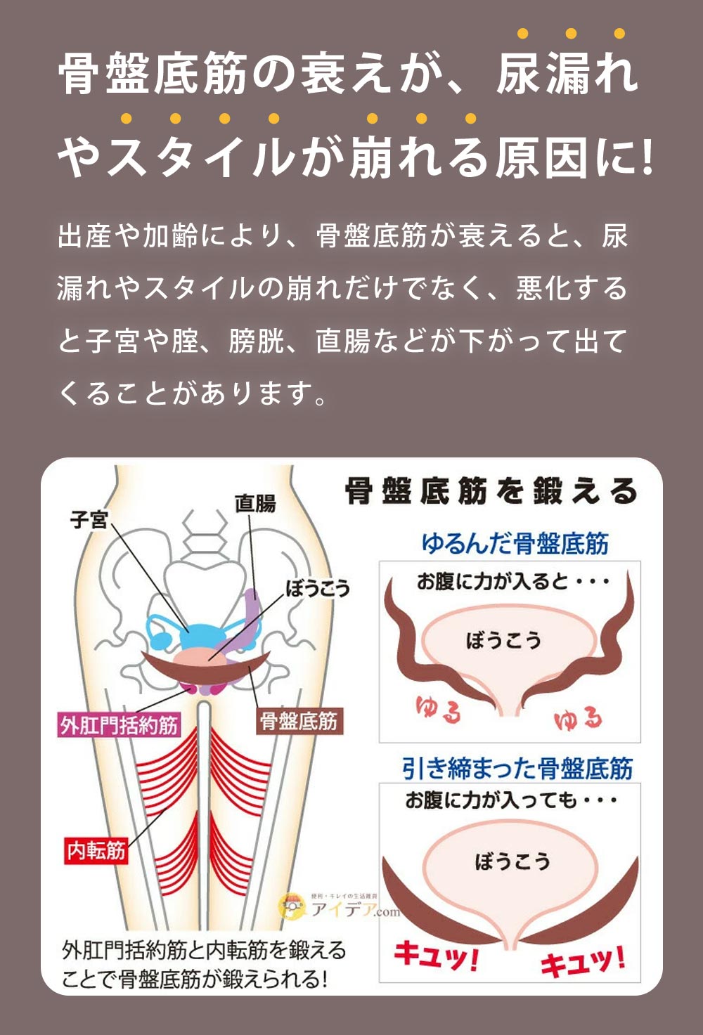 骨盤底筋の衰えが、尿漏れやスタイルが崩れる原因に!