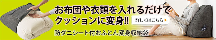 防ダニシート付おふとん変身収納袋