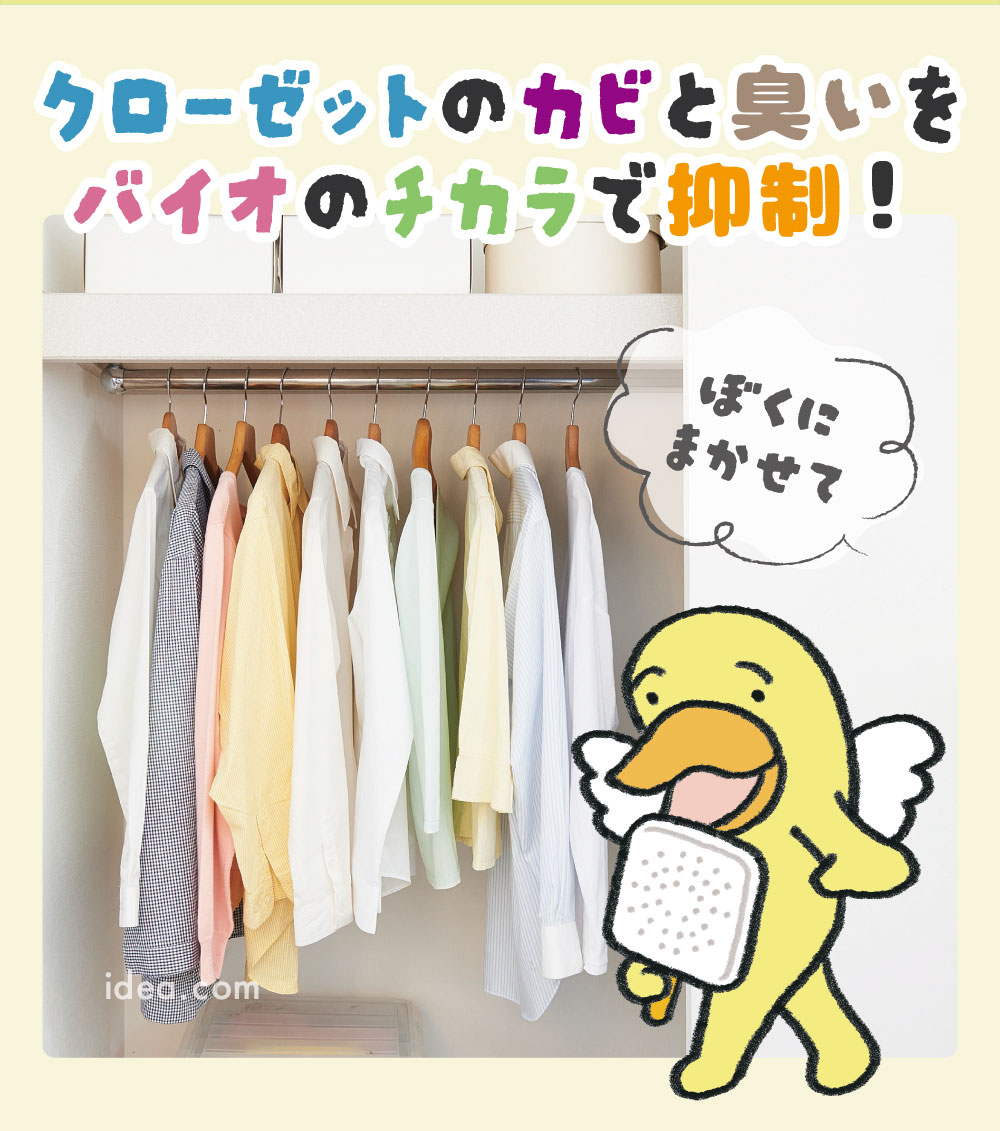 カビをバイオのチカラで抑制