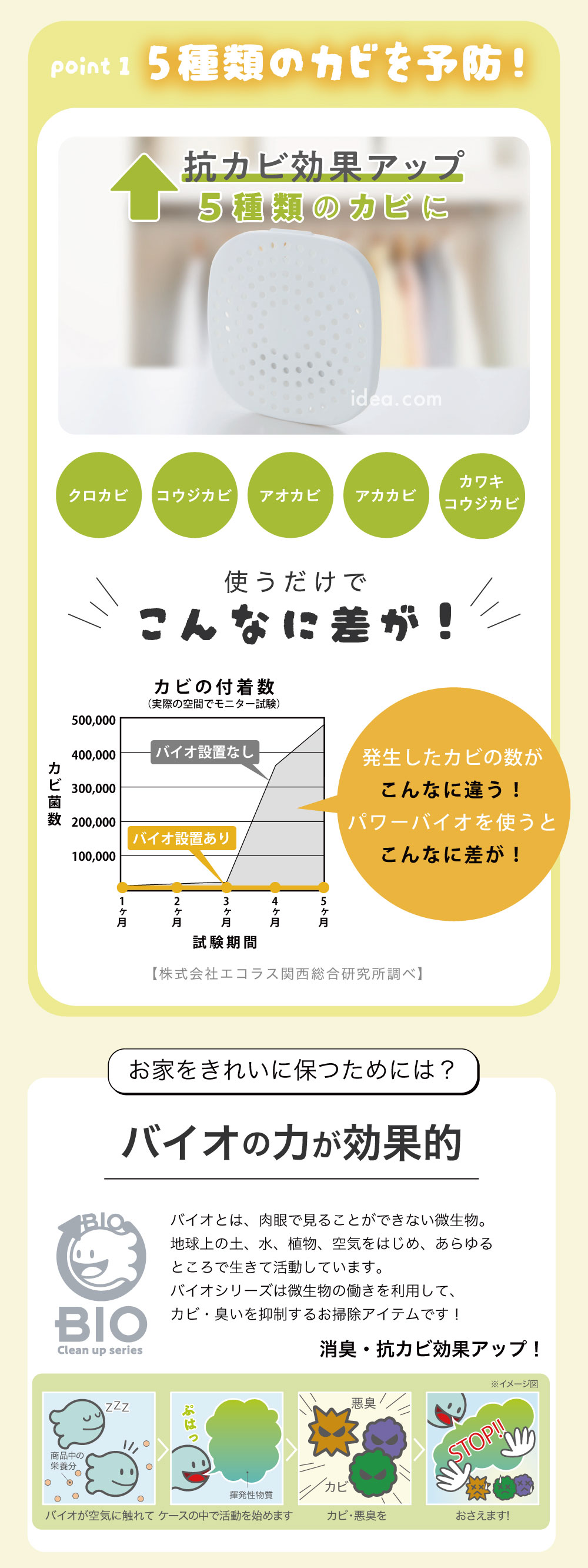 5種類のカビを予防
