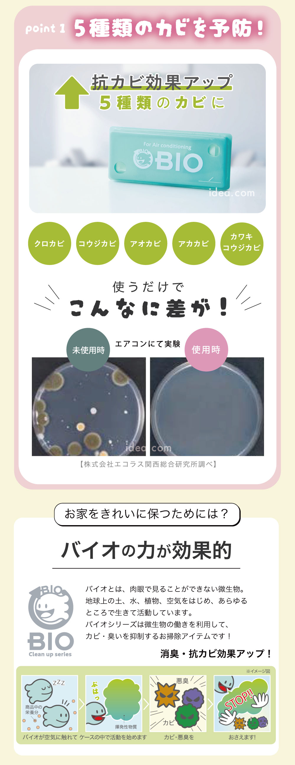 5種類のカビを予防