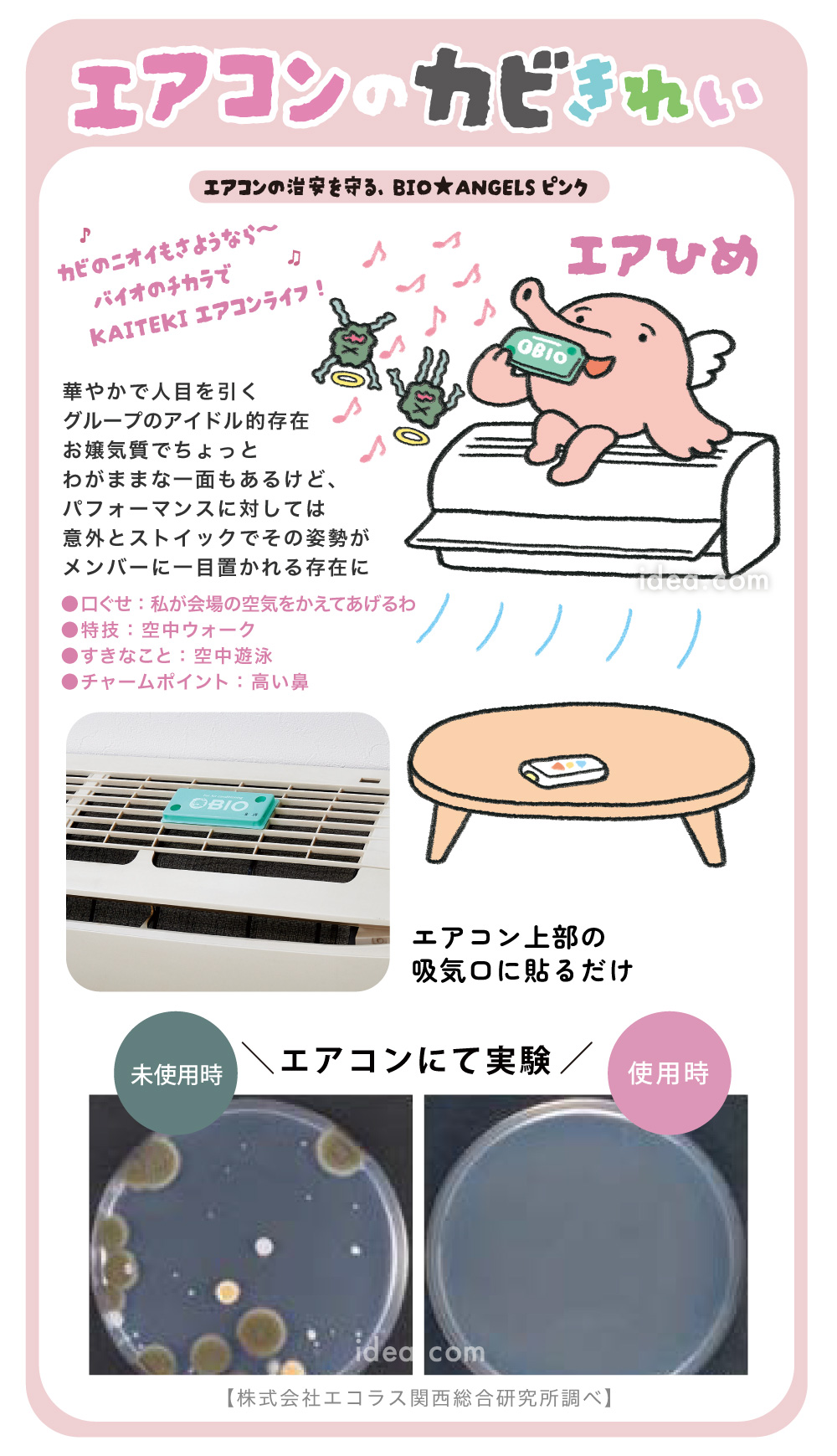 エアコンのカビきれい
