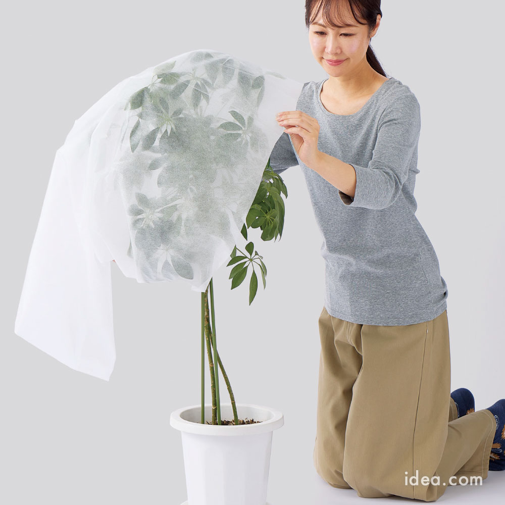 植物の上から被せるだけ