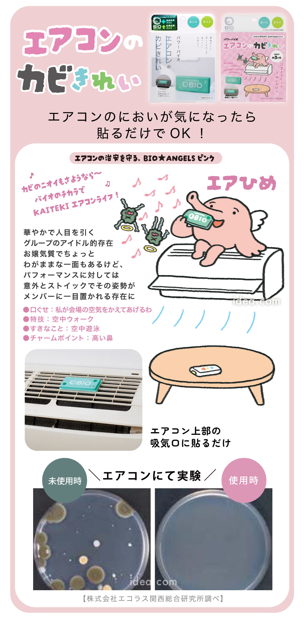 エアコンのカビきれい