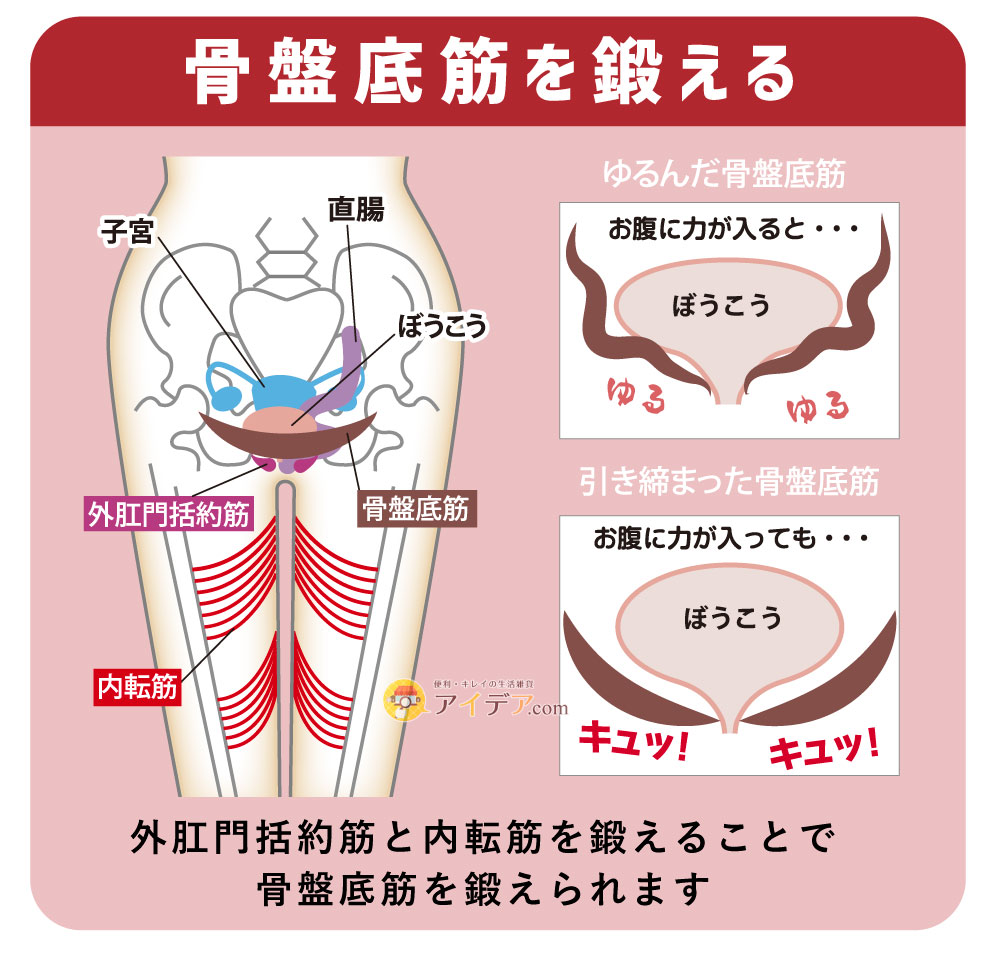 骨盤底筋を鍛える