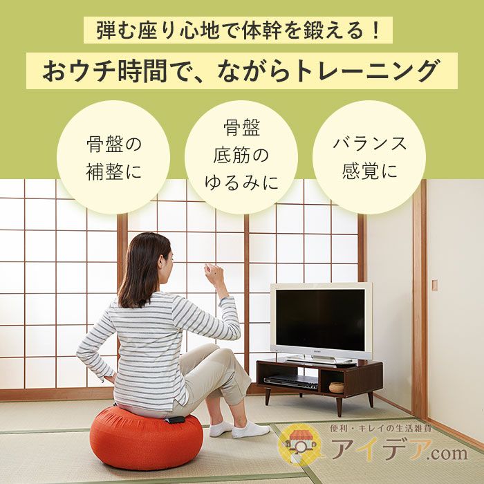 ☆ ブラウン 体幹リセットバウンドクッション COGIT コジット 体