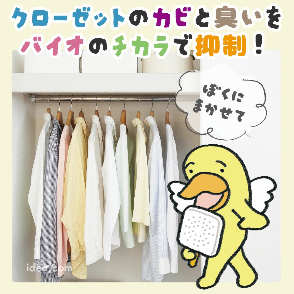 【メール便送料無料】バイオがパワーアップしました◆パワーバイオ押入れのカビきれい[コジット]貼るだけでバイオの力で押入れのカビを撃退。さらに消臭効果もプラス押入れカビ掃除臭い簡単掃除カビ取り防カビカビ防止対策掃除【RCP】