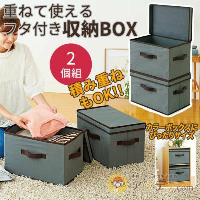 片付け上手フタ付収納ボックス 2個組 [コジット]