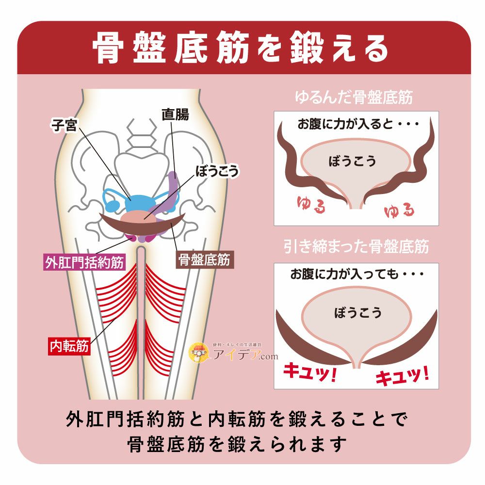靴レディースシューズクロスゴム設計脱ぎ履きしやすい歩きやすい幅広4E軽量疲れにくい骨盤底筋鍛えるかかとの傾斜内側引締め体幹トレーニングゆるみ対策ウォーキングシューズキュキュッポンコジット