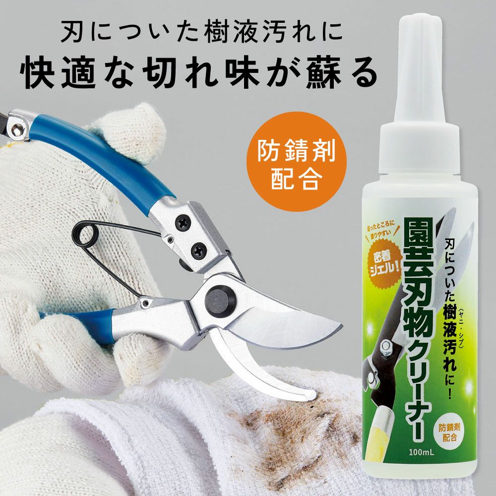 000000003133-01-l.jpg?t=